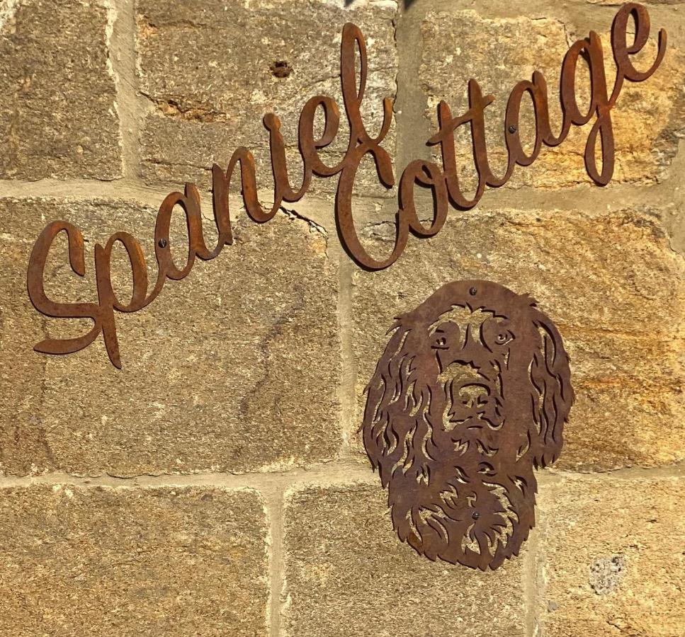 Spaniel Cottage With Views Of Ham Hill, Stoke Sub Hamdon Martock Ngoại thất bức ảnh