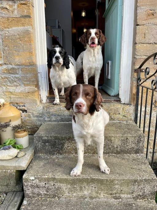 Spaniel Cottage With Views Of Ham Hill, Stoke Sub Hamdon Martock Ngoại thất bức ảnh
