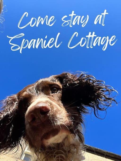 Spaniel Cottage With Views Of Ham Hill, Stoke Sub Hamdon Martock Ngoại thất bức ảnh